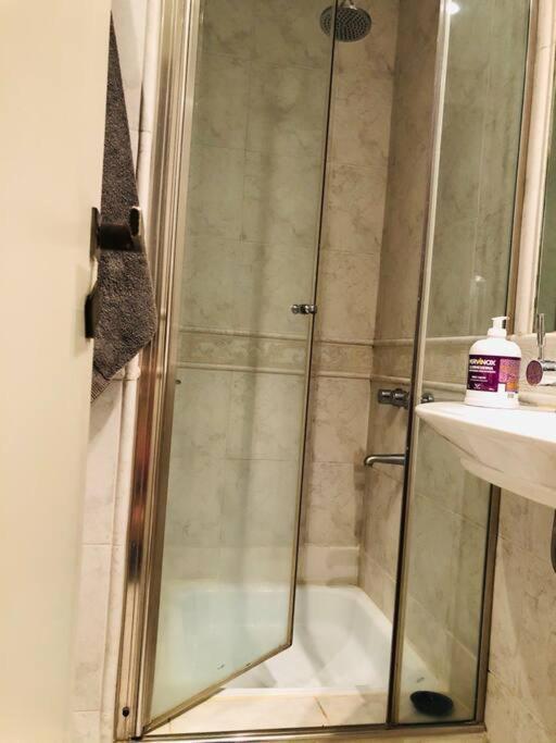 Vivi's Premium Departamento Recoleta Libertad Y Juncal Apartamento Buenos Aires